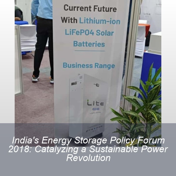 India's Energy Storage Policy Forum 2018: Catalyzing a Sustainable Power Revolution